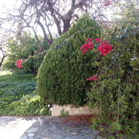 Traditional Village House Meson Yerakarion Exterior photo