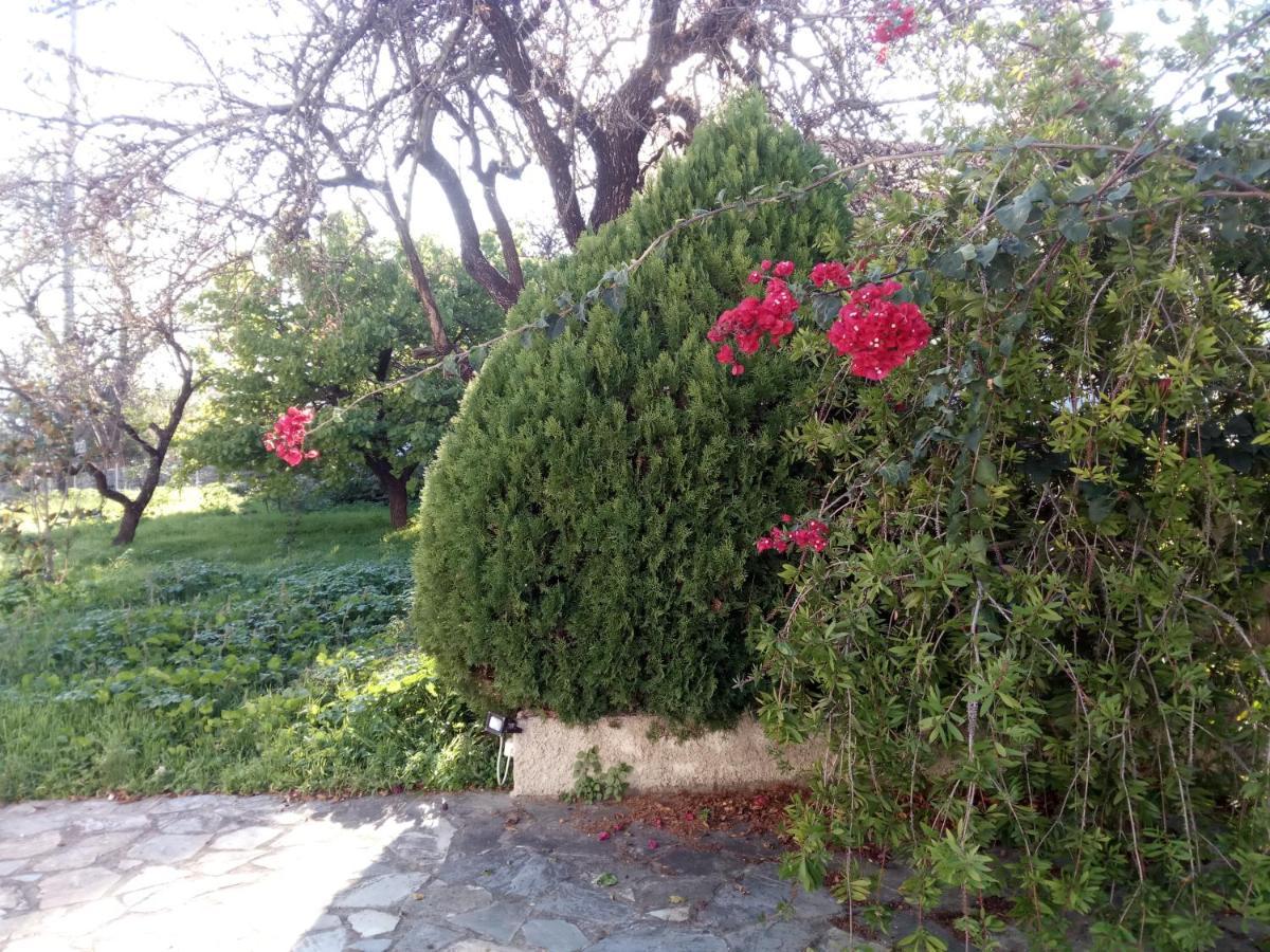 Traditional Village House Meson Yerakarion Exterior photo